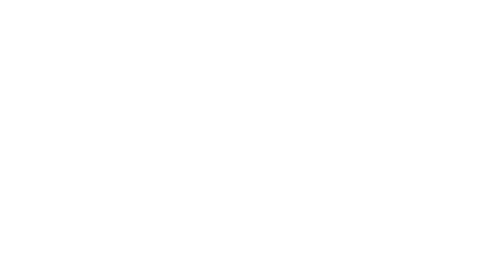 MyCarrier 2 (1)